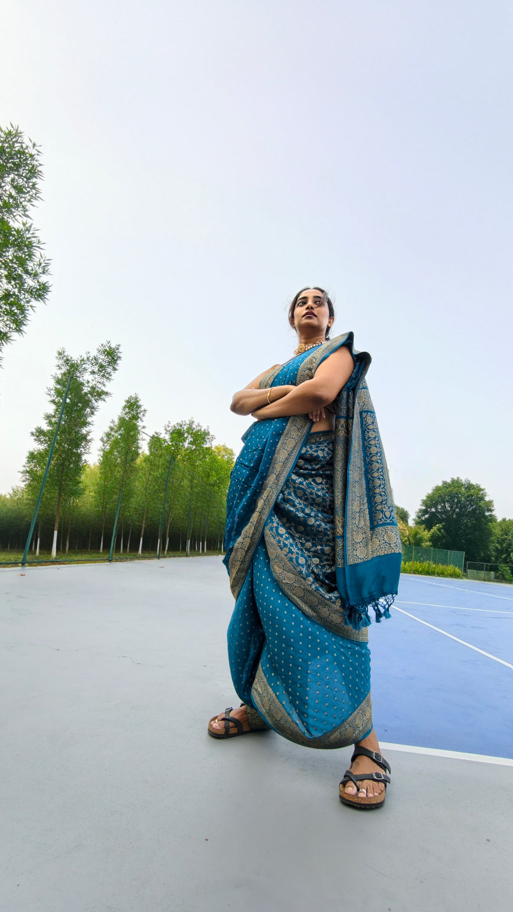 Georgette handloom banarasi - blue