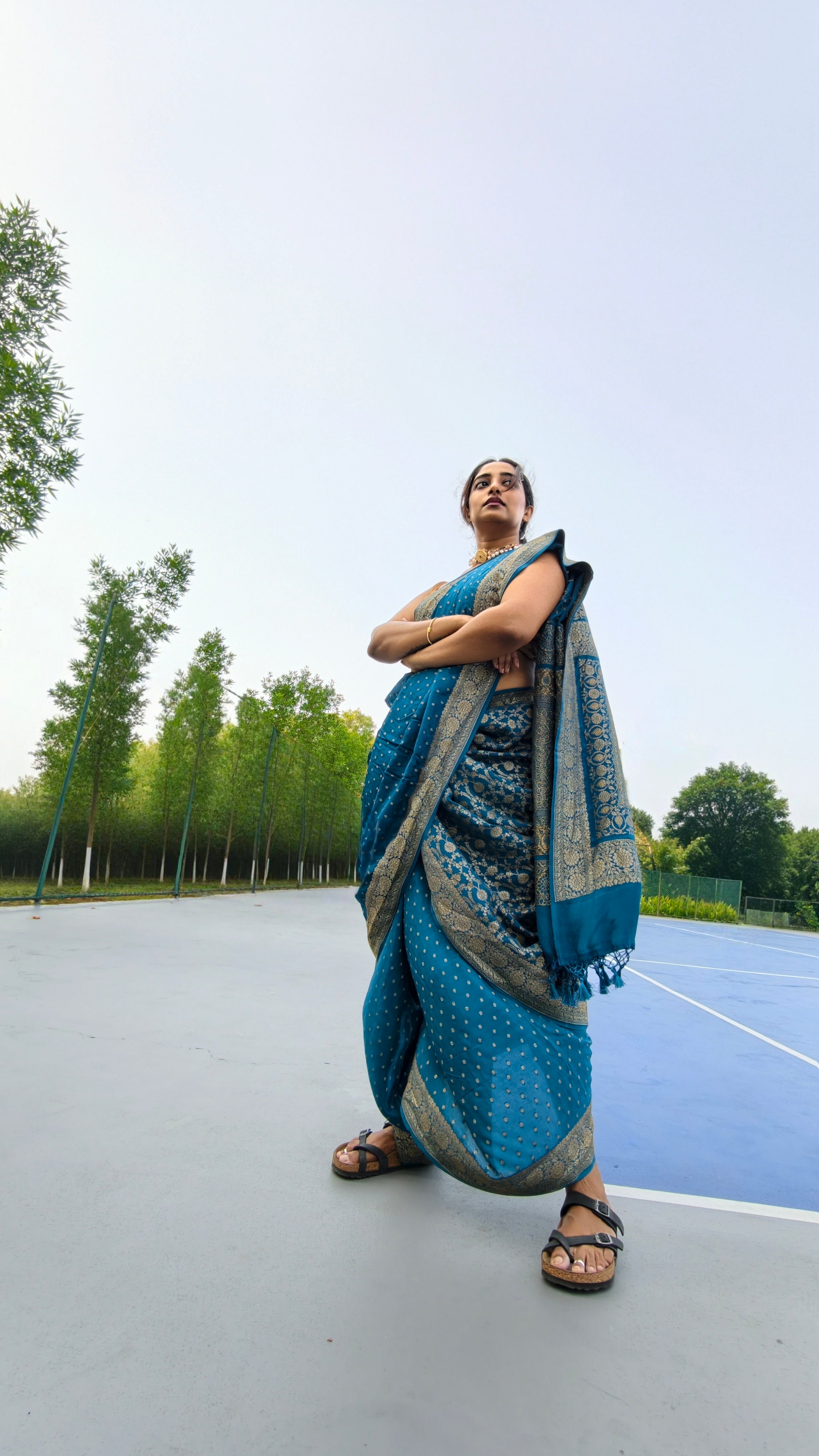 Georgette handloom banarasi - blue