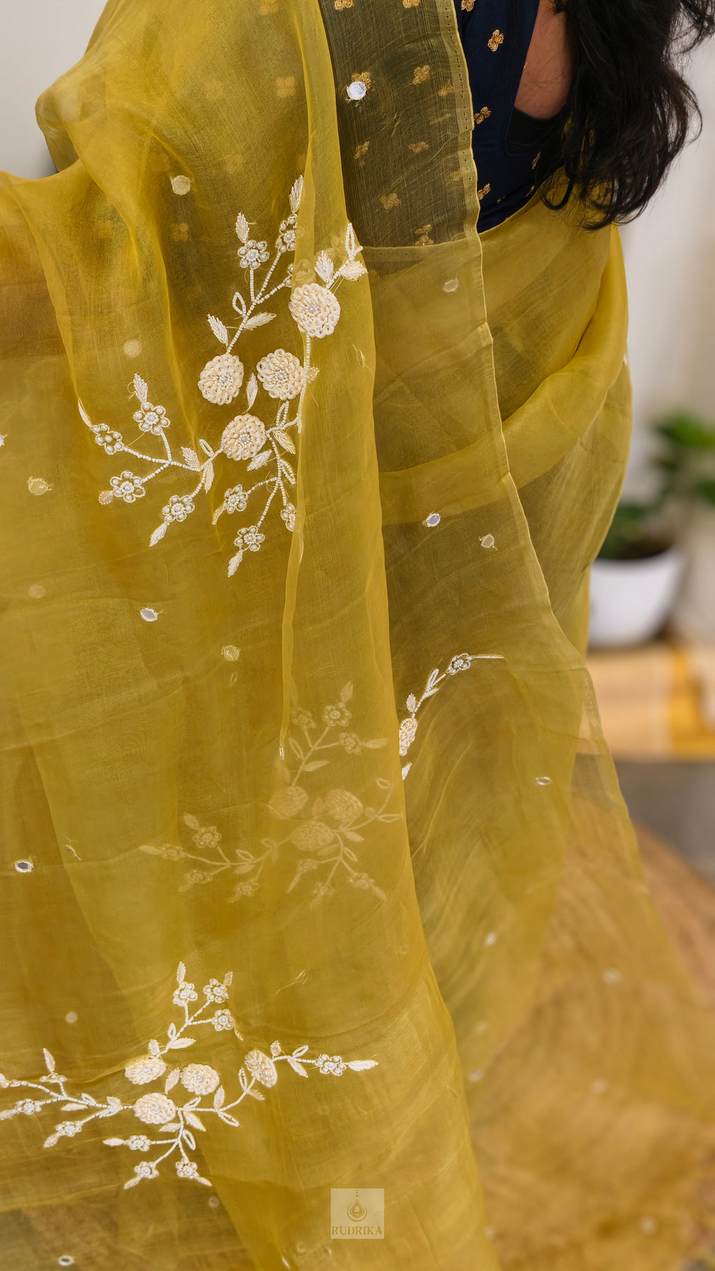 Organza with Handwork Saree