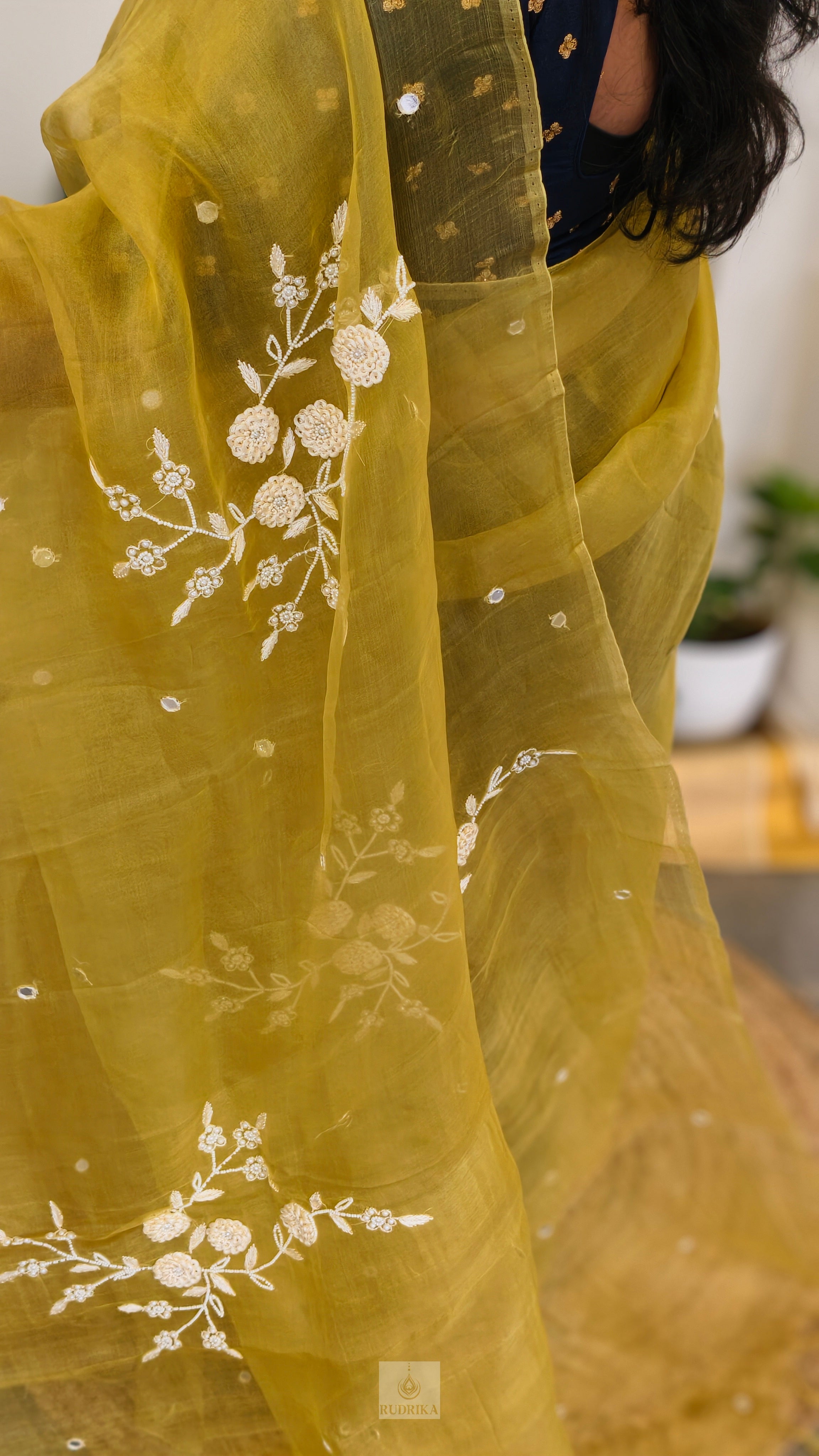 Organza with Handwork Saree